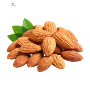 Almond — কাঠবাদাম